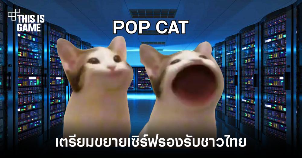 pop cat game download free
