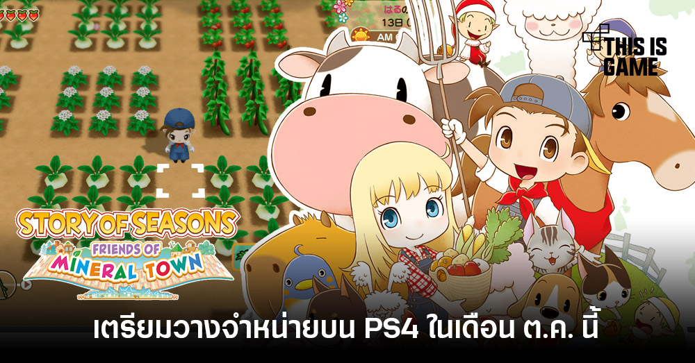 harvest moon friends of mineral town switch release date